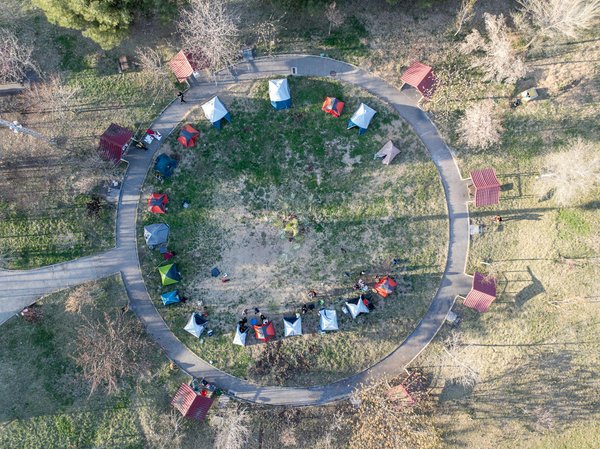 Comment organiser une visite des plantations de thé en Inde sans guide?