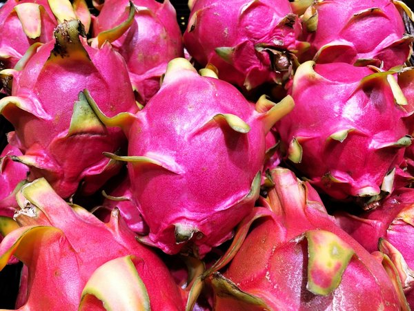 Quelles croisières permettent de découvrir les traditions de danse du dragon en Chine?